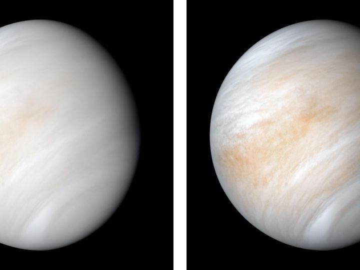 Venus as a softly glowing globe wrapped in pale, featureless clouds, photographed by Mariner 10