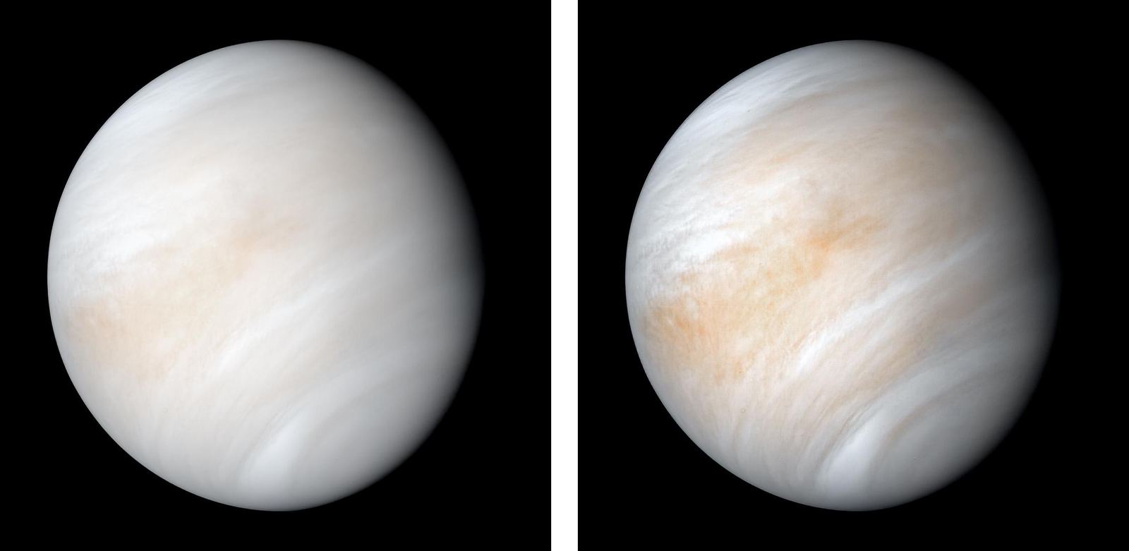 Venus as a softly glowing globe wrapped in pale, featureless clouds, photographed by Mariner 10